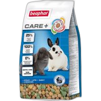 Futter und Leckereien