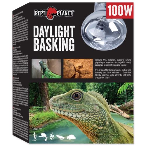 Tageslicht-Basking-Spot 100 W