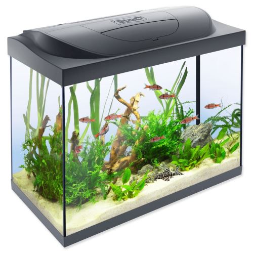 Aquarium-Set Starter Line LED 61 x 32 x 51 cm 80 l