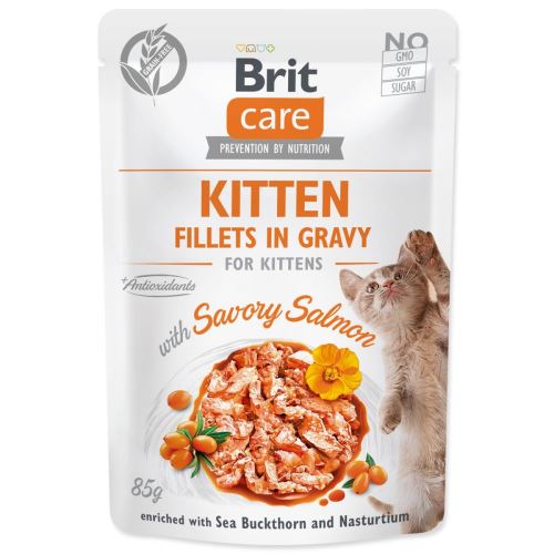 BRIT Care Cat Kitten Filets in Bratensoße mit würzigem Lachs 85 g